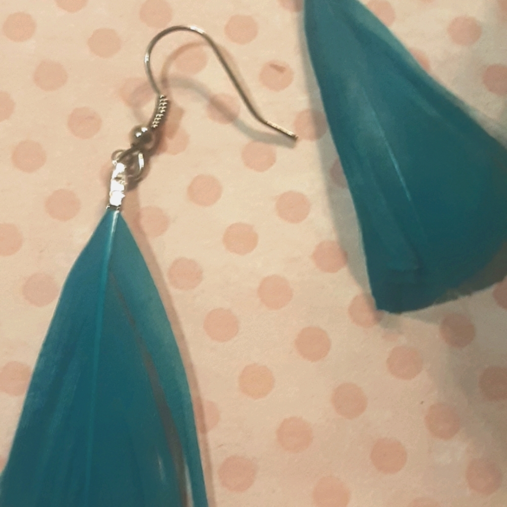 Earrings jewlery prior owned